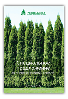 Специальное предложение от Розового Сада