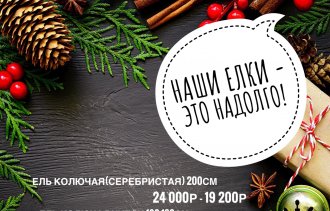 Новогодняя Акция!