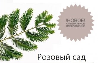 Новое специальное предложение на 2019 год