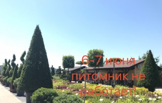 6-7 июня по техническим причинам питомник не работает!