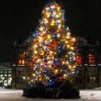 Уважаемые посетители питомника "Розовый сад", поздравляем Вас с наступающим Новым Годом и Рождеством!