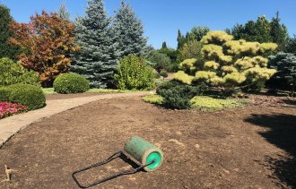 Второй этап реконструкции газона