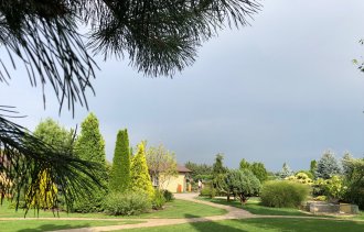 Реконструкция газона в саду.