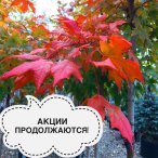 ВНИМАНИЕ! СКИДКИ ПРОДОЛЖАЮТСЯ!