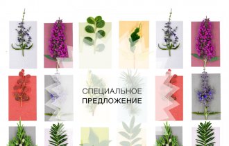 Специальное предложение на осень 2018