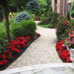 Производитель-питомник декоративных деревьев и кустарников в Краснодарском крае