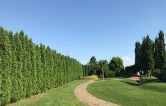 Живая изгородь – признак утонченного вкуса и эстетики в ландшафтном дизайне.