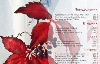 ВНИМАНИЕ! В питомнике Розовый Сад сезонные акции