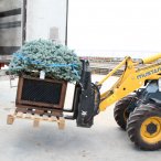 Спец предложение от Питомника "Розовый сад"