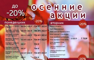 ОСЕННИЕ АКЦИИ!