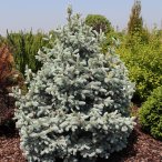 Новое поступление!!!