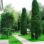 Специальное предложение весна-2014