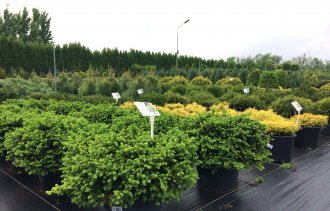 Можно ли высаживать растения в весенне-летний период?