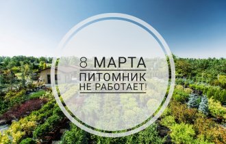 Внимание! 8 марта питомник не работает!
