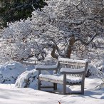 План работы в саду зимой