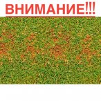 Обратите внимание на газон!!!
