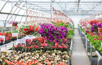 Добавьте ярких красок Вашему лету!