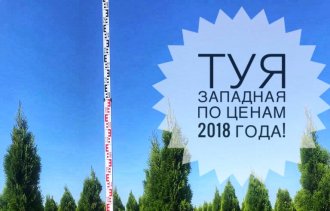Туя западная по ценам 2018 года!