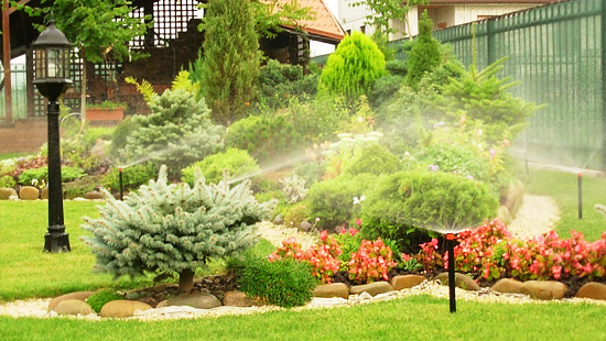 Полив растений после посадки