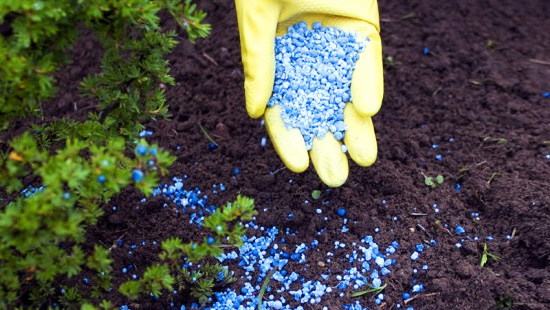 Удобрение растений в саду